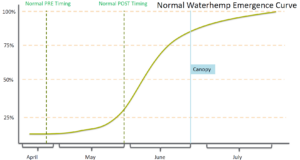 A graph titled "Normal Waterhemp Emergence Curve" shows a line signifying waterhemp's emergence starting in mid-May and drastically increasing through June, finally plateauing in July. 