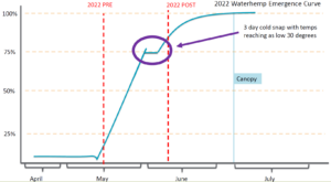 A graph titled "2022 Waterhemp Emergence Curve" shows a line that starts to sharply increase mid-May, plateauing in early June when a three-day cold snap affected emergence, then the line increases again sharply before tapering off in July. 