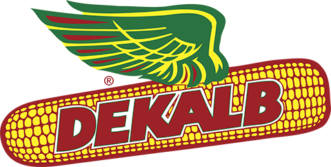 dekalb logo